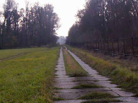 Foto 43